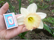 ������� "������ �����" 02.05.2016�.