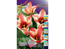 15,69���. ������� ���� ����(��� 10 ��. ���������� ������ 5��.).jpg