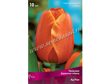 ������� �� ���.jpg