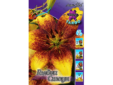 33,4���. ����� ������ �����(��� 5 ��. ���������� ������ 2 ��� 3 ��.).jpg