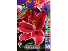 28,1���. ����� ������(��� 7 ��. ���������� ������ 3 ��� 4 ��.).jpg