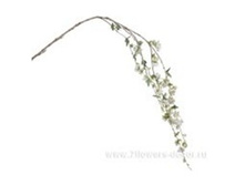 3661864017305 ����� ������������� �����������, 162�� 48 902,75.jpg