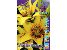 28,9���. ����� ������ �������(��� 5 ��. ���������� ������ 2 ��� 3 ��.).jpg