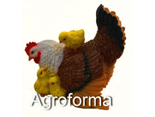 ������ �������