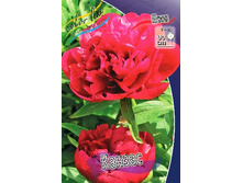 179,7���. ���� ������(�������� ���� �� 1 ��., ����������� ����� 1��.).jpg