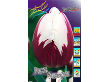 25,43���. ������� ���� �������(��� 10 ��. ���������� ������ 5��.).jpg