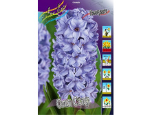 22���. ������� ��� ����(��� 5 ��. ���������� ������ 2 ��� 3 ��.).jpg