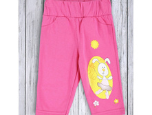 ������ ��� ������� ���.813