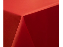 ���������� ����� � ����������������� ���������, Janet �������, ������ 155 ��, 249 ���