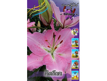 29���. ����� �����(��� 7 ��. ���������� ������ 3 ��� 4 ��.).jpg