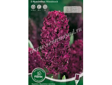 ������� �������.jpg