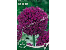 ��� ����������� ���� ��������.jpg