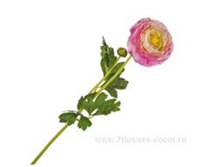 4606500502035 ������ ������������� �����, 46 �� 240 205,85.jpg