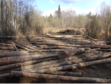 �.����. ������ ����.