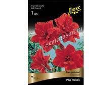 ��������� ��� �����.jpg