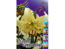 42,4���. ����� ���� ���������(�������� ���� �� 5 ��., ����������� ����� 1��.).jpg