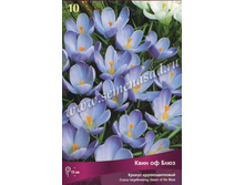 ������ ��������������� ���� �� ����.jpg