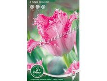 ������� ���������.jpg