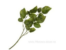 4606500502219 ����� ������������� ������� ���� , 47�� 336 196,65.jpg