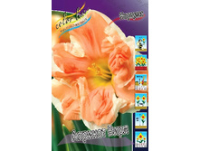 48,22���. ������� ������� ����(�������� ���� �� 5 ��., ����������� ����� 1��.).jpg