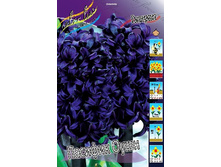 63,2���. ������� ������� ����(�������� ���� �� 3 ��., ����������� ����� 1��.).jpg