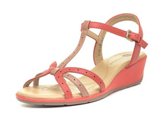 51-DZ-03 R ����� ������ ��������, �������, ���.����, ������� ,����������, ���.����, ����������.jpg