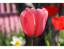 ������� ���� ������� (�ϣ ����)