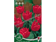 ������� ����.jpg