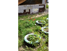 IMG 20160430 105243.jpg