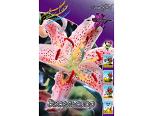 32,14���. ����� ����������(��� 5 ��. ���������� ������ 2 ��� 3 ��.).jpg