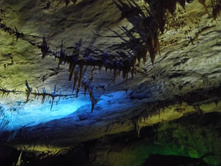 ������ ��������