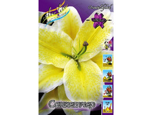 29���. ����� ���������(��� 7 ��. ���������� ������ 3 ��� 4 ��.).jpg