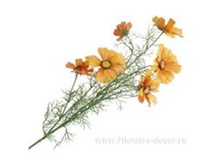 3661864013017 ������ ������������� ������, 86�� 96 403,65.jpg