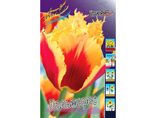 21,3���. ������� ���������(��� 10 ��. ���������� ������ 5��.).jpg