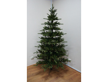 �� ��� ����������� �������