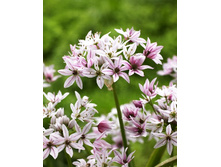 12,64���. ��� �����. ��������(���������� ������ ������ ���������� �� 15 ��.).jpg