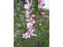 20160501 125736 Richtone(HDR).jpg