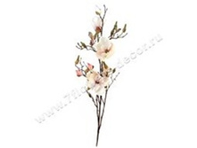 3661864007078 ����� ������������� ��������, 109�� 36 975,2.jpg