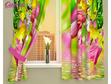 03023  "�������� � ���������"