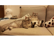 ����� �� �����