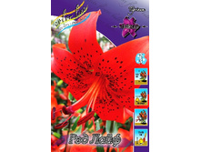 42,4���. ����� ��� ����(�������� ���� �� 5 ��., ����������� ����� 1��.).jpg