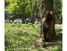 DSC08265.JPG