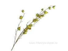 4606500502165 ����� ������������� �������, 122�� 36 1446,7.jpg