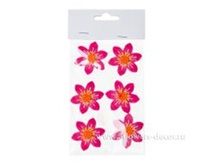 4606500441518 ����� ������ �� ������� (����) 6��. 576 118,00.jpg