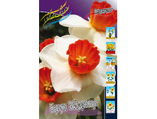 24,11���. ������� ���� ������(��� 10 ��. ���������� ������ 5��.)���15.jpg