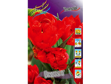 14,75���. ������� ������(���������� ������ ������ ���������� �� 10 ��.).jpg