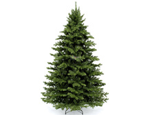 ������ ��� ������ ������� �������