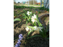 ������� "������ �����" 02.05.2016�.