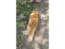 DSC08454.JPG