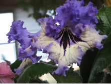 ������������� �����